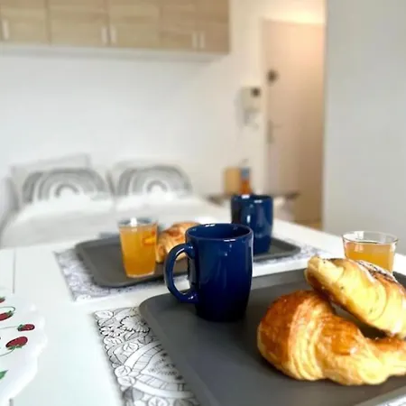 Apartment Le Wilson En Face De La Gare De *